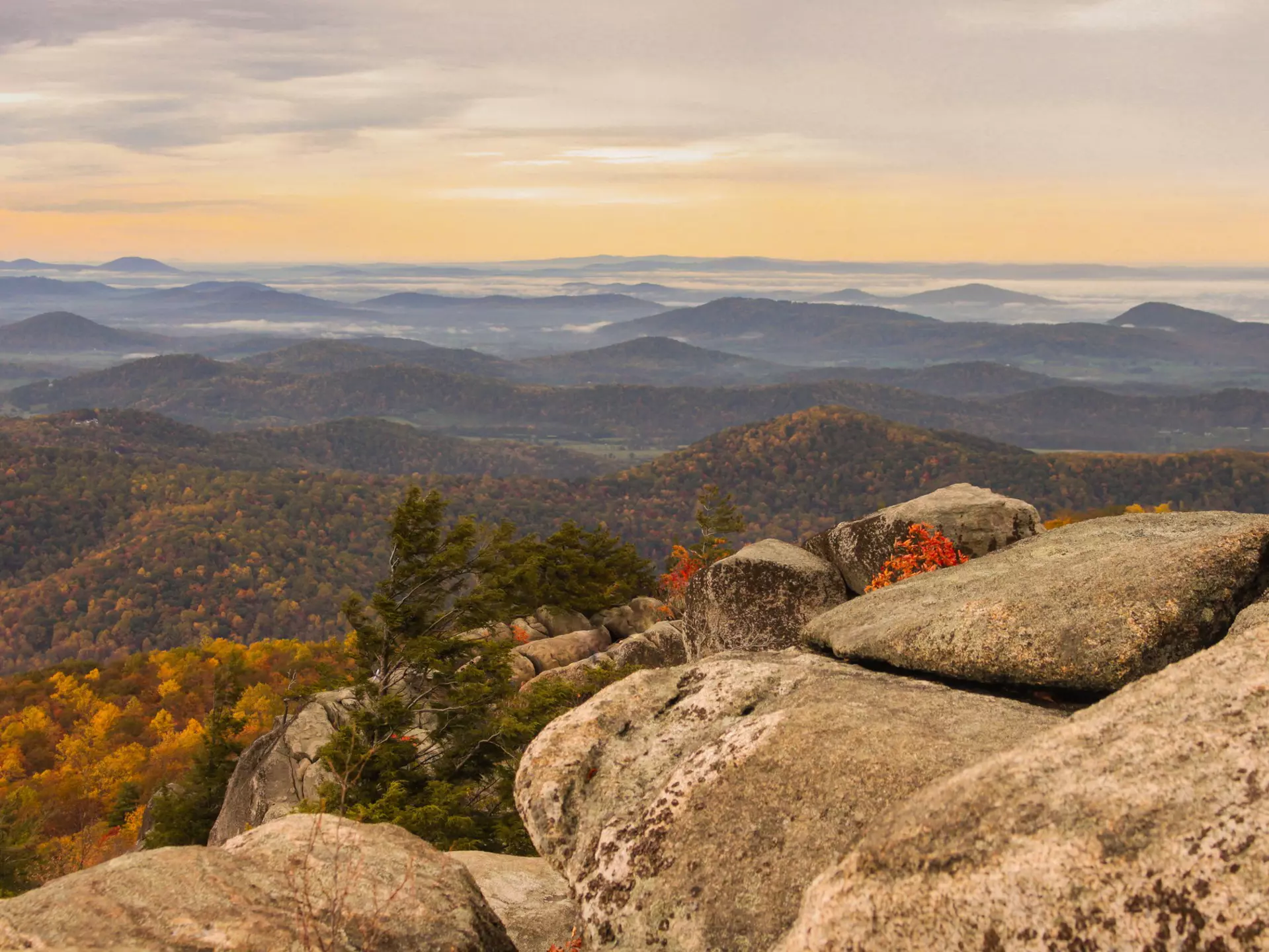 Fall colors viewed from Old Rag Mountain in Shenandoah National Park. jessconlow/Shutterstock