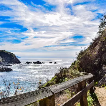 A coastal path, part of the Partington Cove Trail in Julia Pfeiffer State Park.