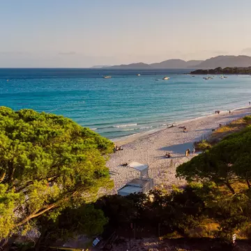 Aerial view of Palombaggia Beach in the South of Corsica, France - Famous pine tree forest on the island of Corsica, near the turquoise waters of the Mediterranean Sea.