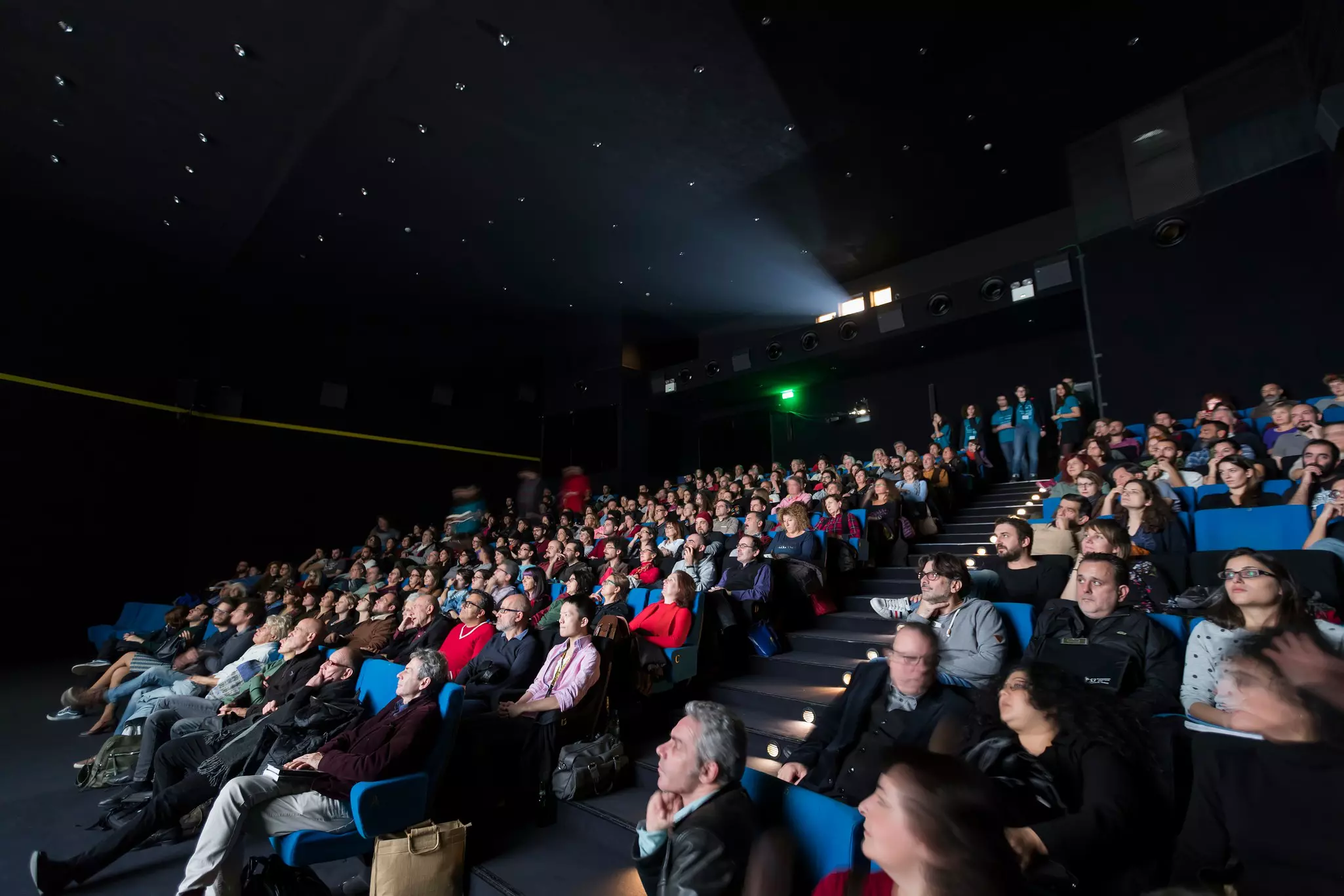 People seated in a raked cinema watch a film screening.
