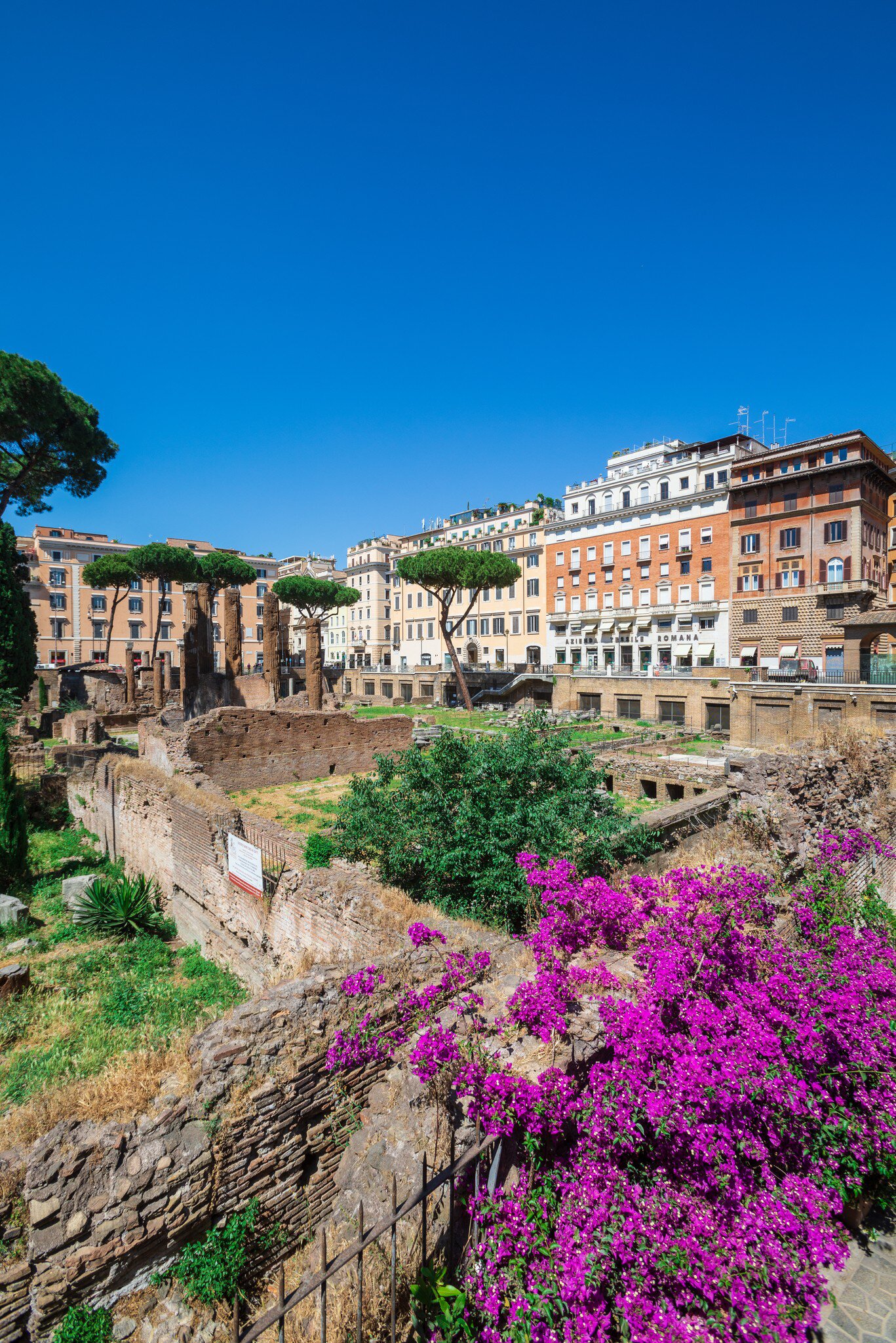 Magenta bougainvillea spills over a wall above sunken ruins; a building beyond reads "AZIENDA TESSILE ROMANA".