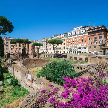 Magenta bougainvillea spills over a wall above sunken ruins; a building beyond reads "AZIENDA TESSILE ROMANA".