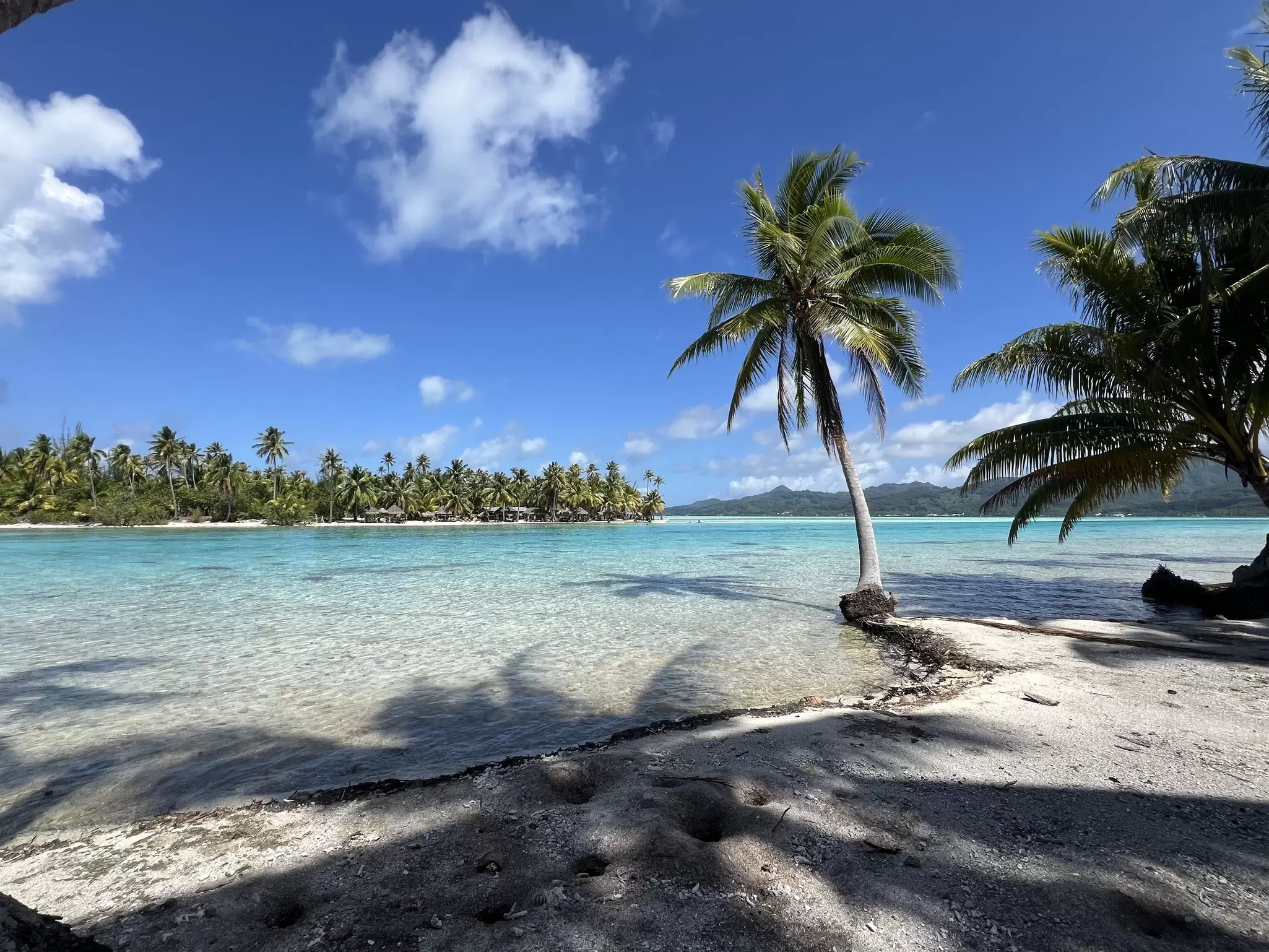 Palm trees frame the lagoon between Ra’iatea and Taha’a, French Polynesia.