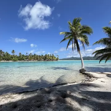 Palm trees frame the lagoon between Ra’iatea and Taha’a, French Polynesia.