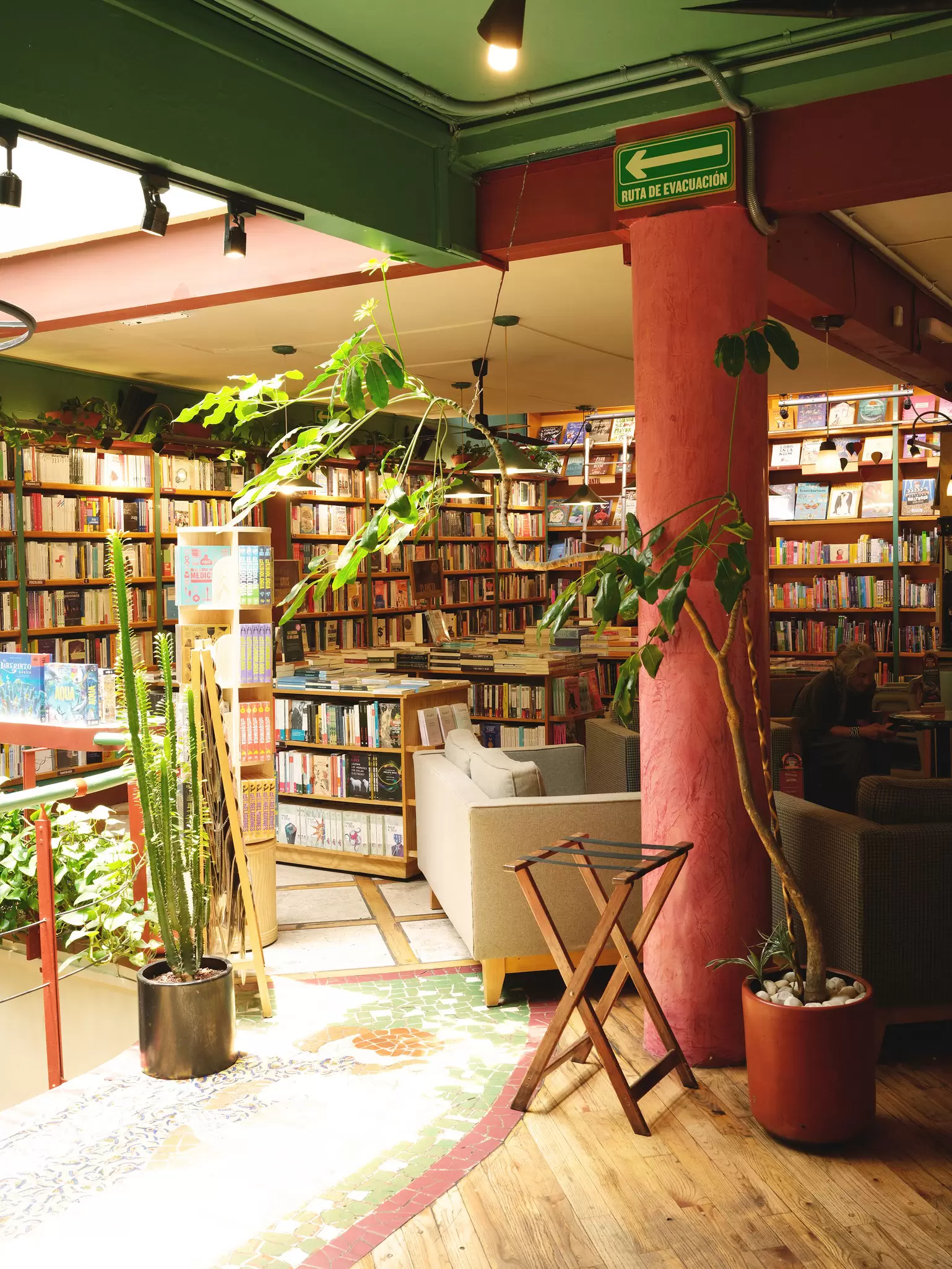 See sunshine and pot plants in a interior view of Cafebrería El Péndulo Condesa, a bookstore and cafe in Condesa.