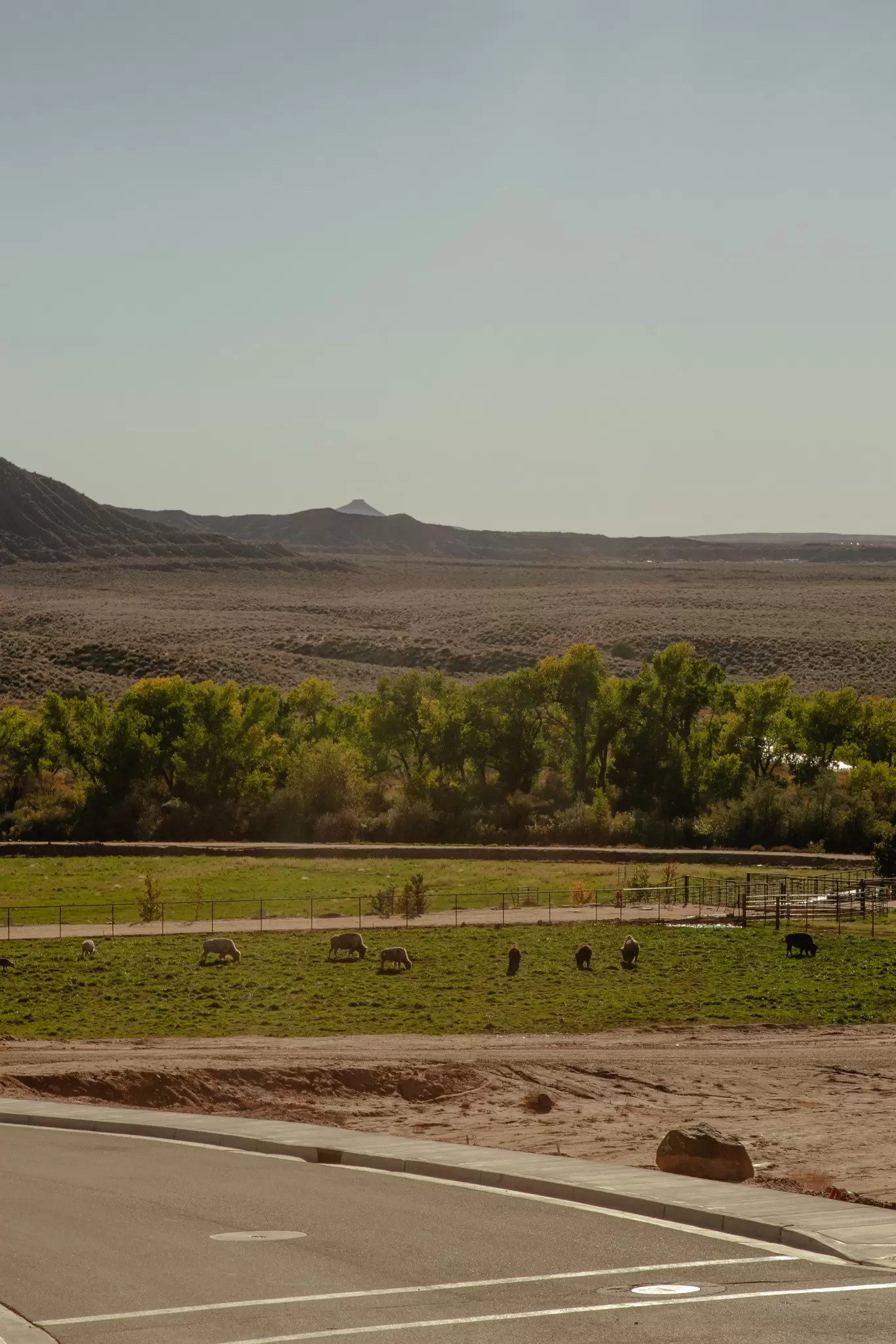 Virgin, Utah, Great Zion area — October 2025
Zion White Bison Glamping + RV Resort