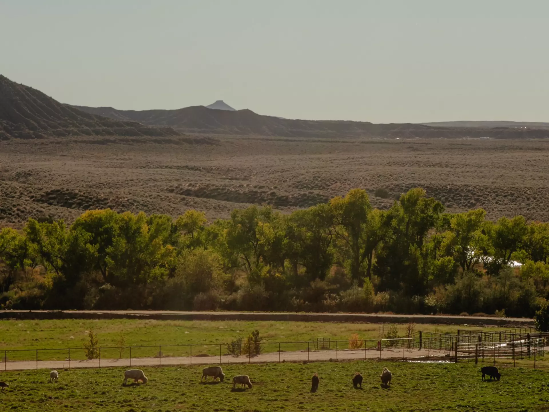 Virgin, Utah, Great Zion area — October 2025
Zion White Bison Glamping + RV Resort