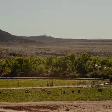 Virgin, Utah, Great Zion area — October 2025
Zion White Bison Glamping + RV Resort