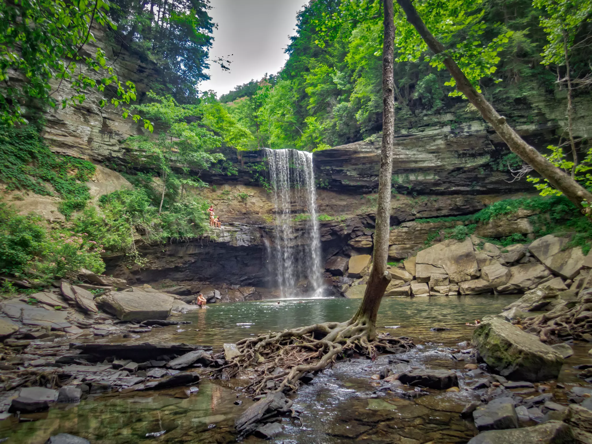 People splashing in a pool at the base of a waterfall in dense woodland