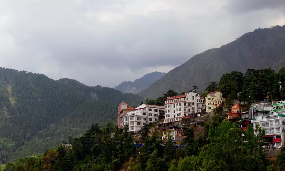 Mcleod Ganj's multi-storey hotels on a pine-covered ridge below the Dhauladhar foothills under storm clouds