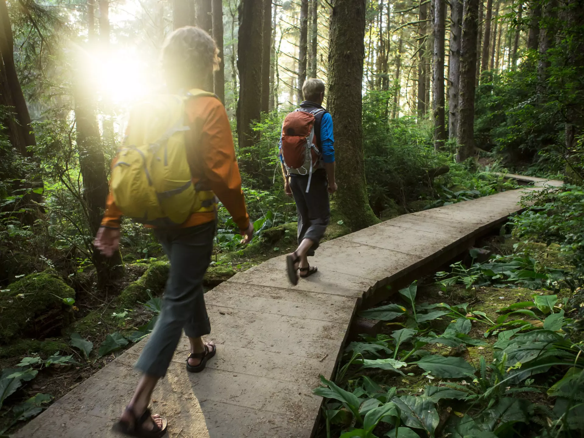 Hiking though the redwood forest along California's Lost Coast.
158687146
Adventure, Explorer, Hiking, Wilderness, camping