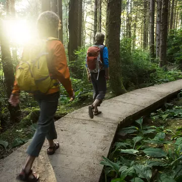 Hiking though the redwood forest along California's Lost Coast.
158687146
Adventure, Explorer, Hiking, Wilderness, camping