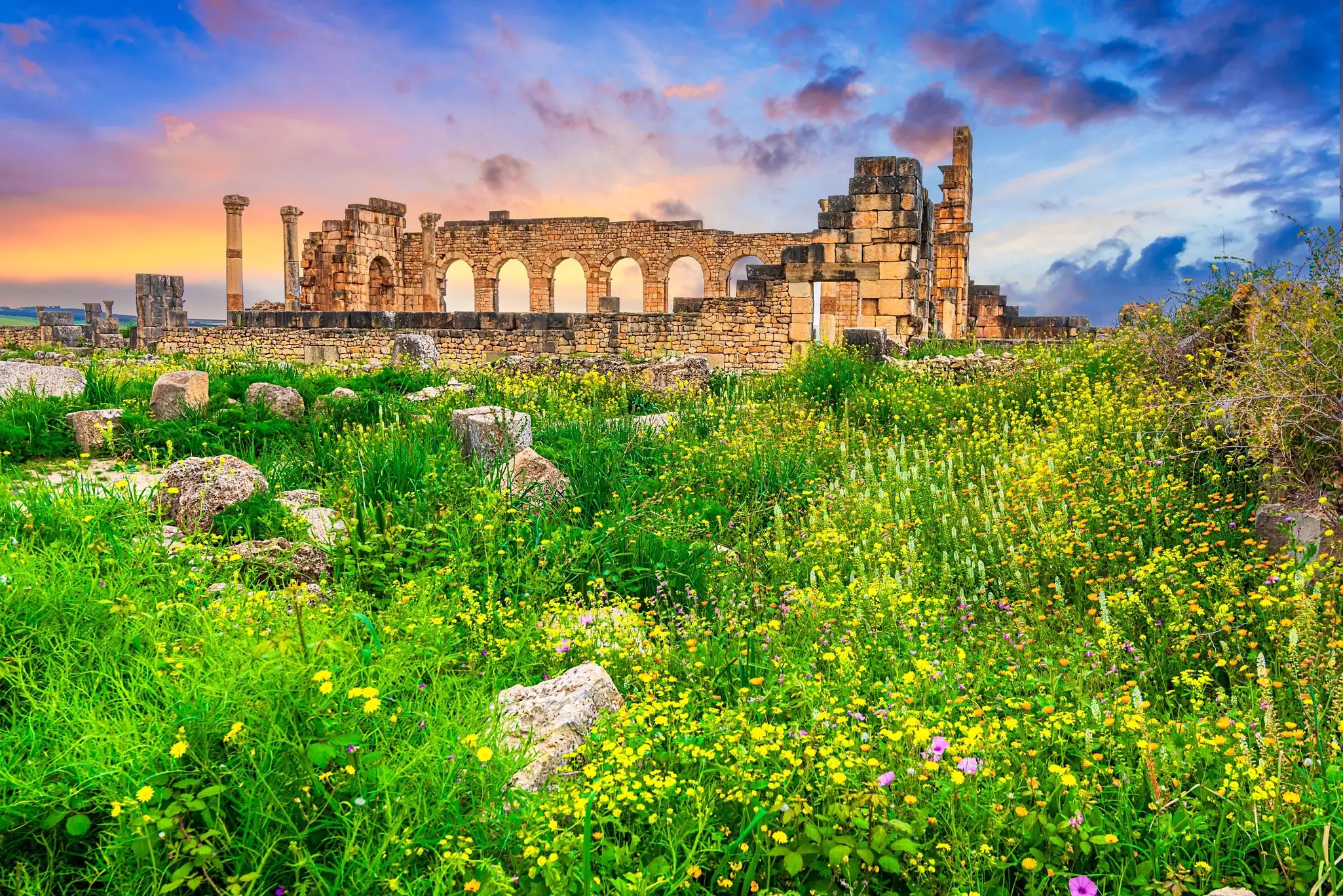 The ruins of the ancient Roman basilica of Volubilis sit amidst green and bronw scrub against a background of light green rolling farmpland and the long sloping line of a mountain in the background