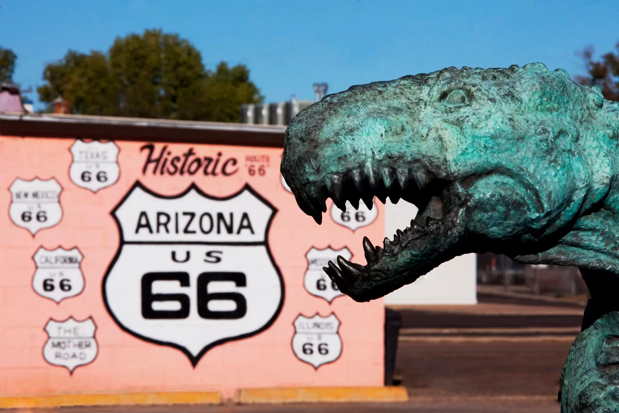 519517209
american culture, animal likeness, arizona, building, close up, color image, day, dinosaur, fierce, focus on foreground, freeway, heritage, historic, historical landmark, holbrook, horizontal, journey, nobody, nostalgia, outdoors, photography, road trip, route 66, sign, statue, tourism, tourist attraction, transportation, travel, travel destinations, united states, us 66