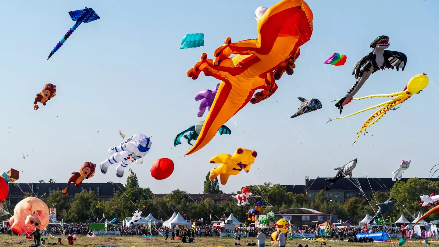 People fly extra-large kites in various shapes, including astronaut, pig, and dragon, at a grassy park on a sunny day.