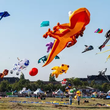 People fly extra-large kites in various shapes, including astronaut, pig, and dragon, at a grassy park on a sunny day.