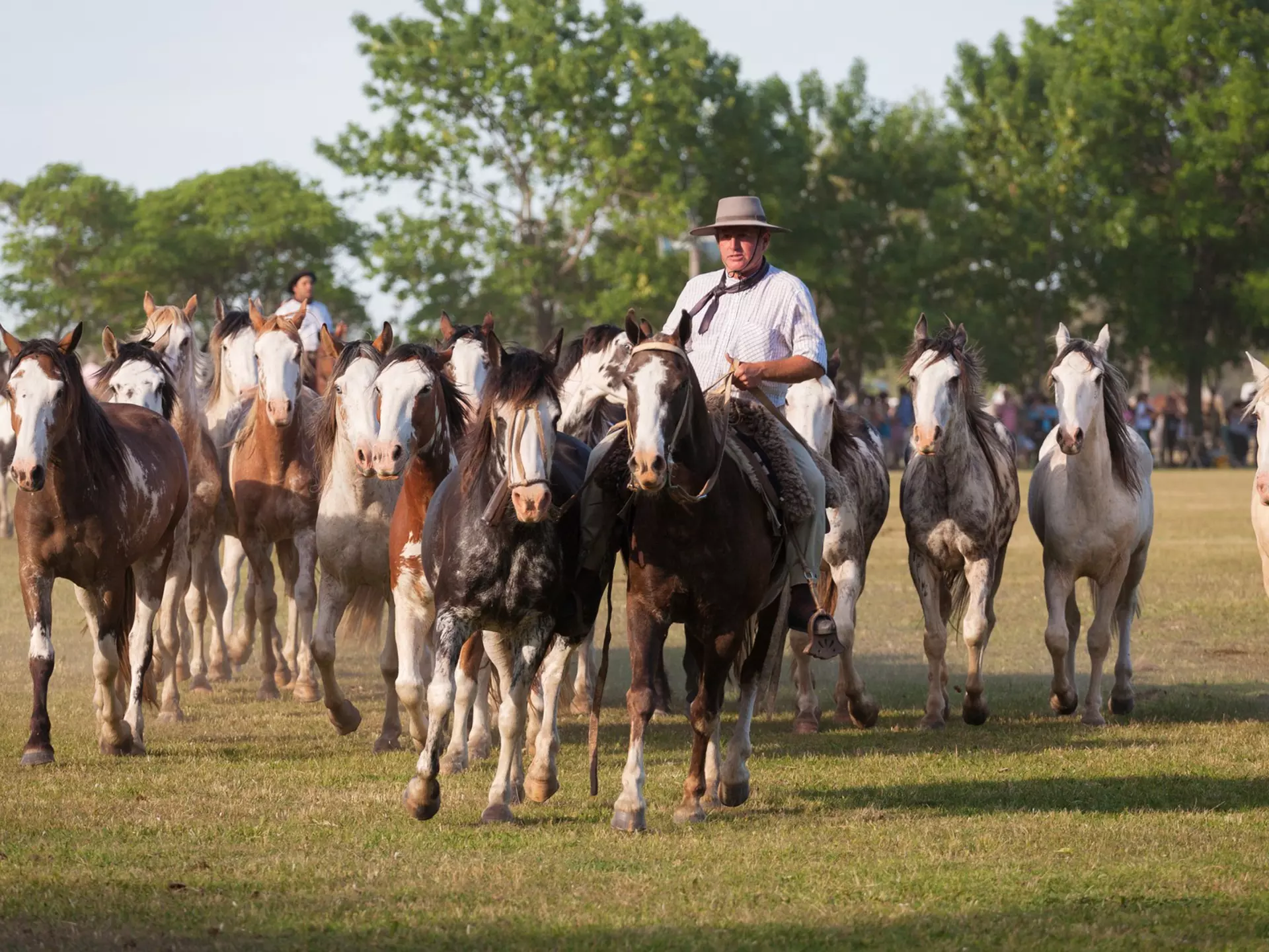 Gauchos (cowboys) in San Antonio de Areco province, Buenos Aires, Argentina. sunsinger/Shutterstock