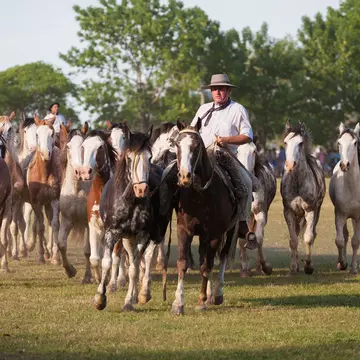 Gauchos en Fiesta de la Tradicion in San Antonio de Areco