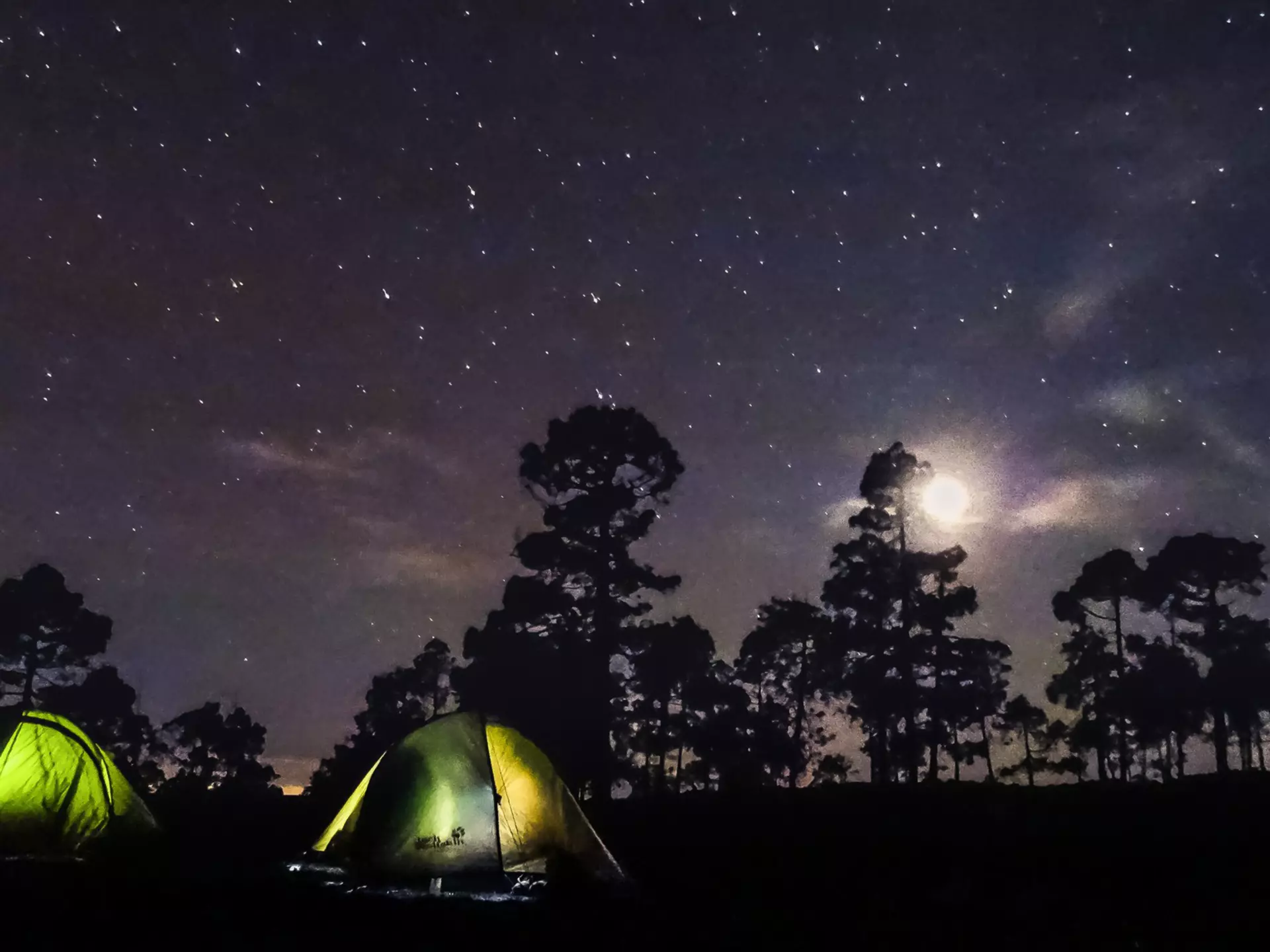 Two tents sit illuminated from the inside at night in moonlight at corona forestal on tenerife