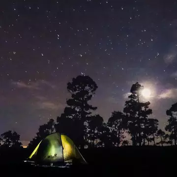 Two tents sit illuminated from the inside at night in moonlight at corona forestal on tenerife