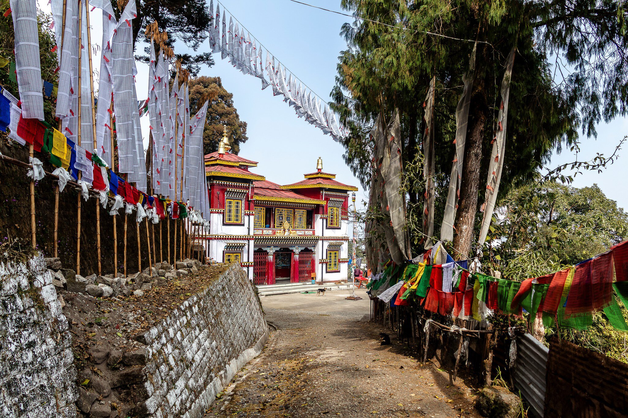 Wide view of Bhutia Busty Gompa in Darjeeling, India.