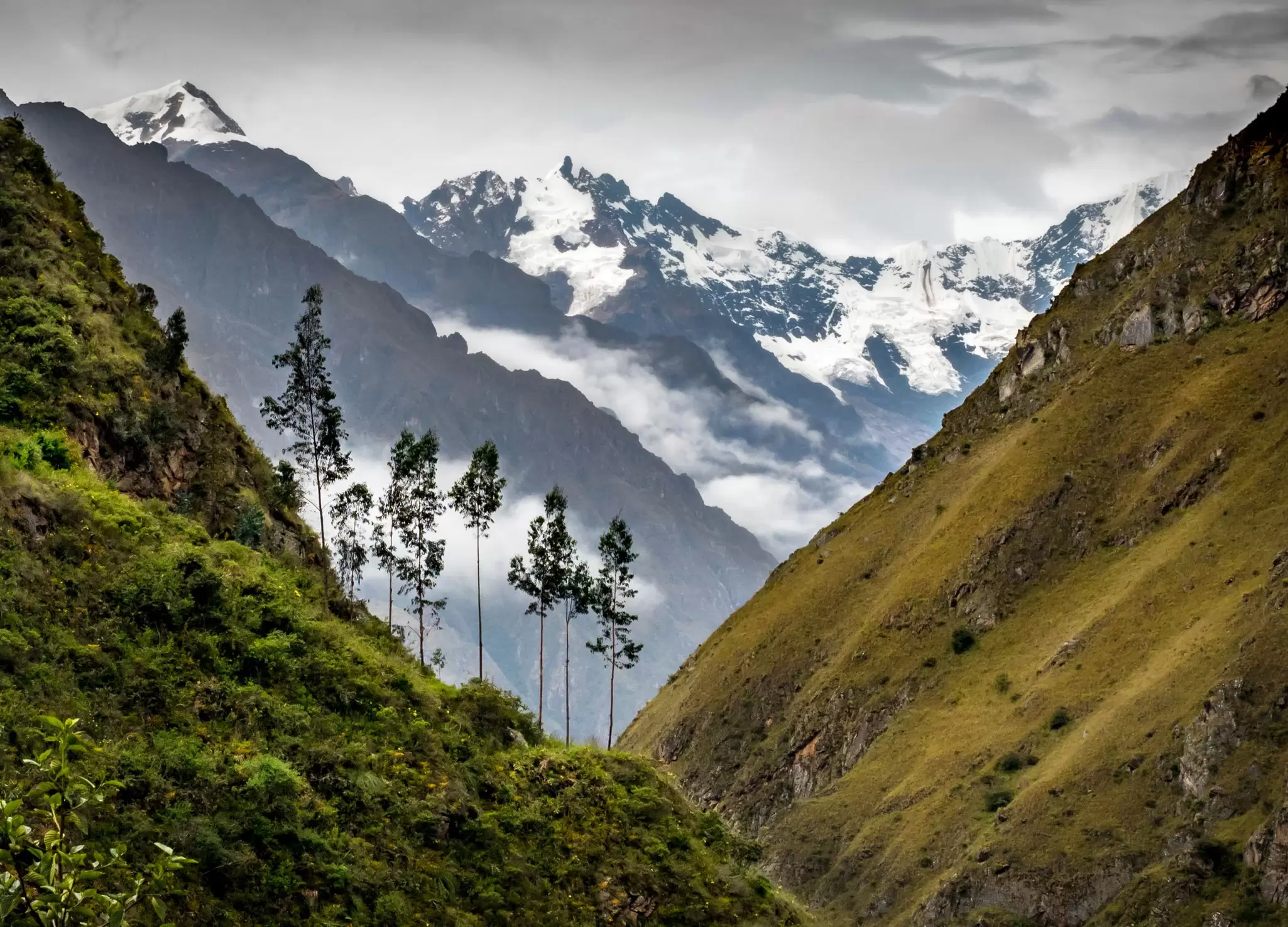 View of snow capped mountains from the Inca Trail. 