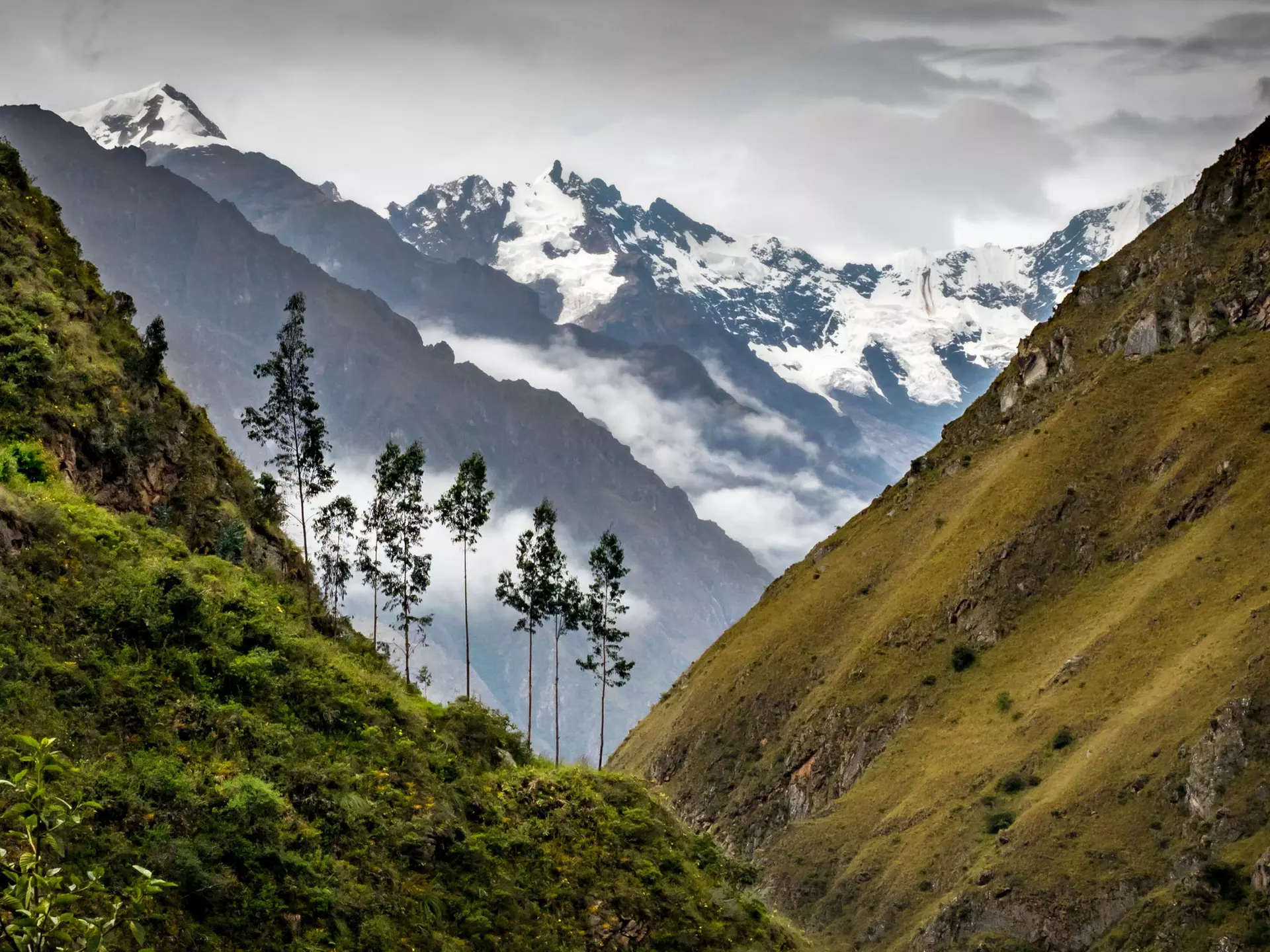 View of snow capped mountains from the Inca Trail. 
