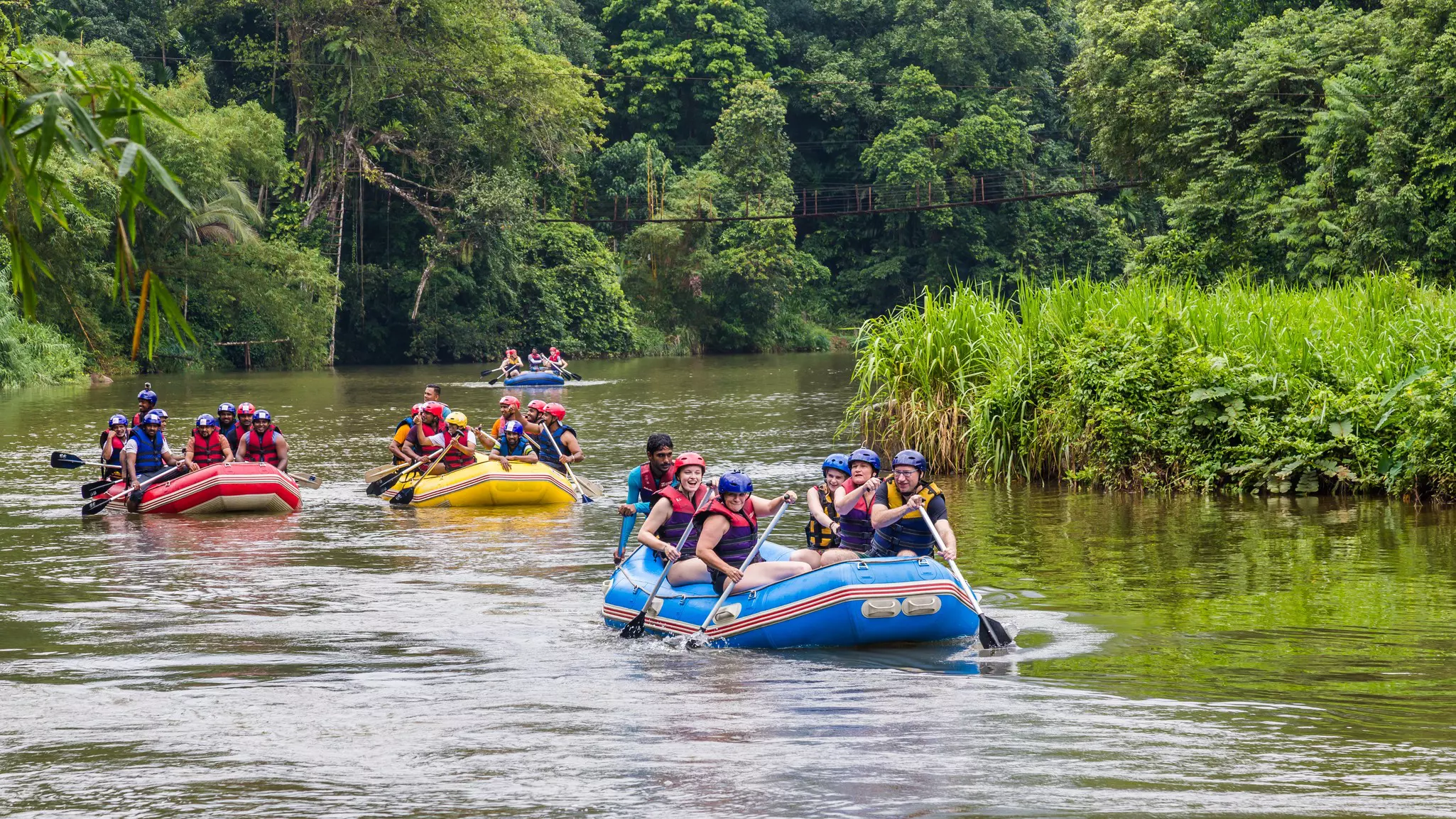 Rafts, each one with multiple passengers, navigate a fast-flowing river through a dense jungle environment.