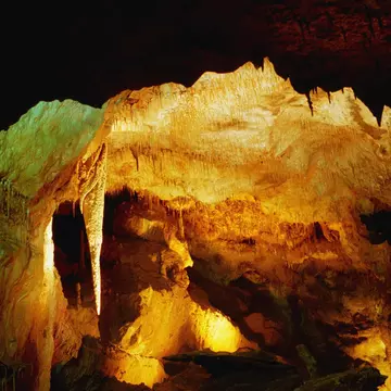 Interior detail of Crag Cave, Castleisland, Co Kerry, Ireland. Green and yellow lighting with deep shadows.