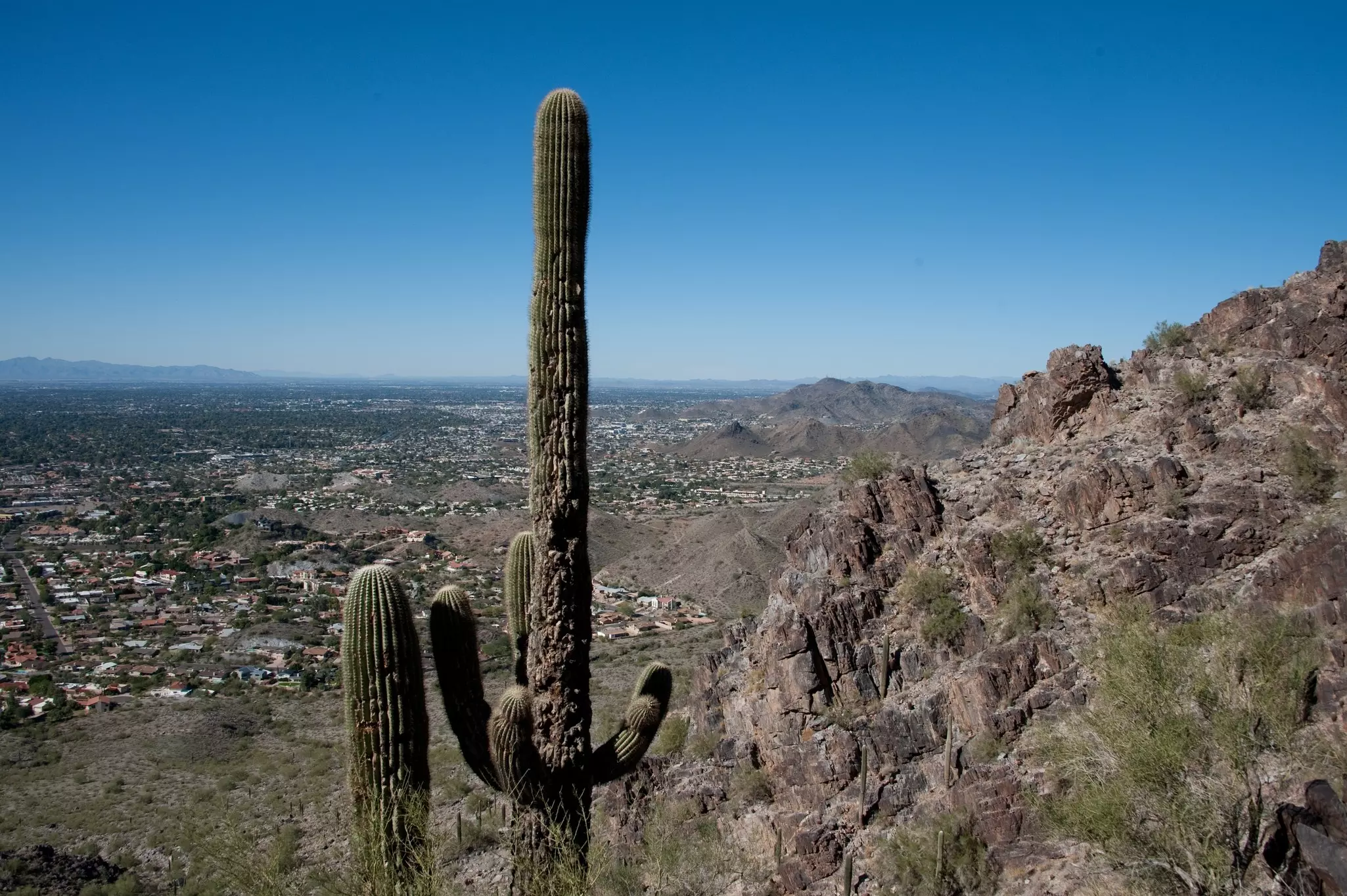 The Sonoran Desert is great for stargazing, wildlife watching, and nature photography © PICTOR PICTURES / Shutterstock