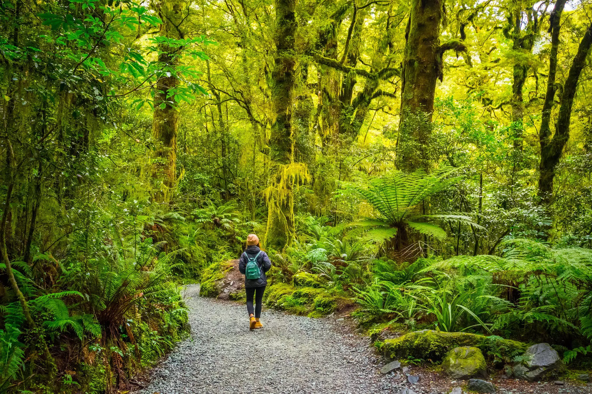 For teens, adventure and the great outdoors beckons in New Zealand ©Puripat Lertpunyaroj/Alamy Stock Photo