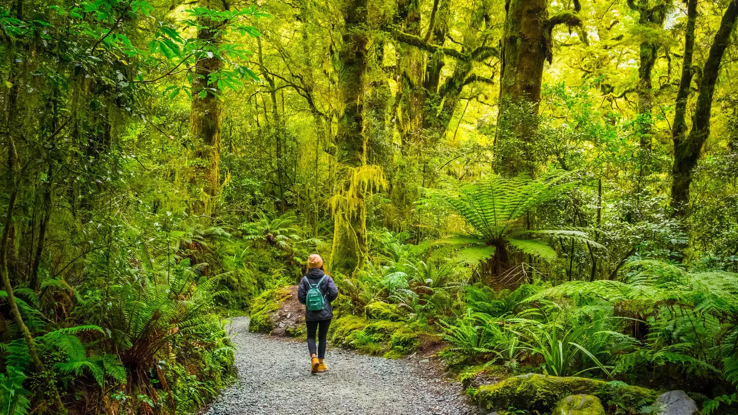 For teens, adventure and the great outdoors beckons in New Zealand ©Puripat Lertpunyaroj/Alamy Stock Photo