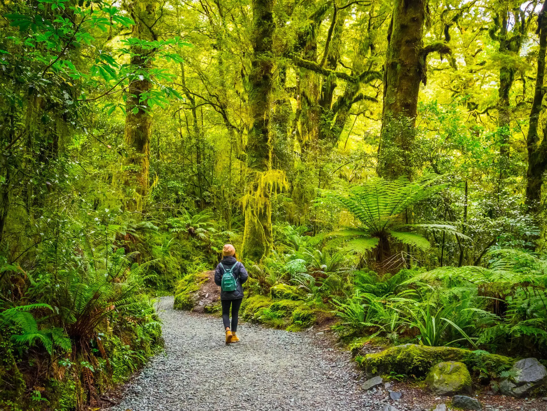 For teens, adventure and the great outdoors beckons in New Zealand ©Puripat Lertpunyaroj/Alamy Stock Photo