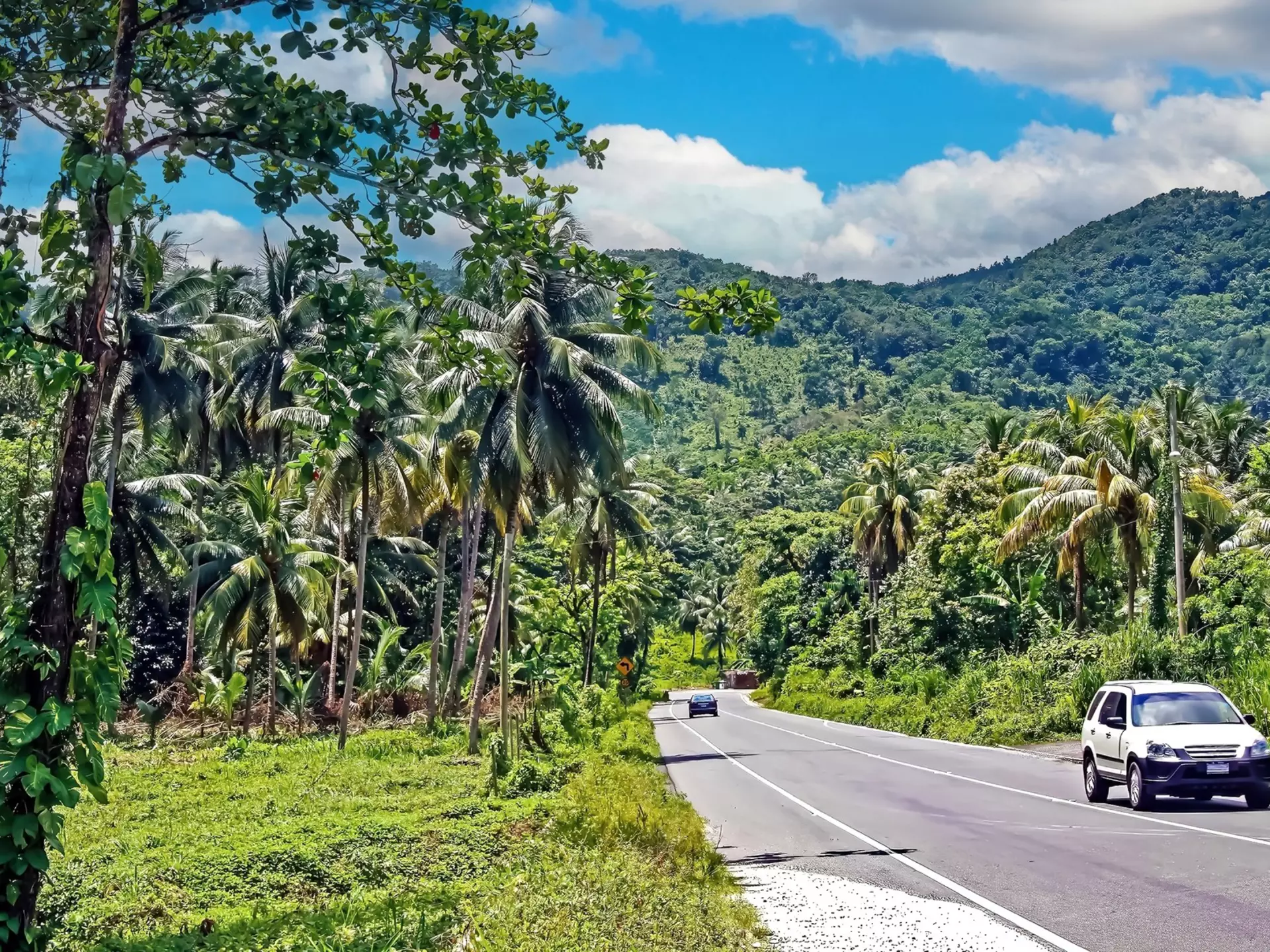 See more of Jamaica with these top driving routes © Ralf Liebhold / Shutterstock