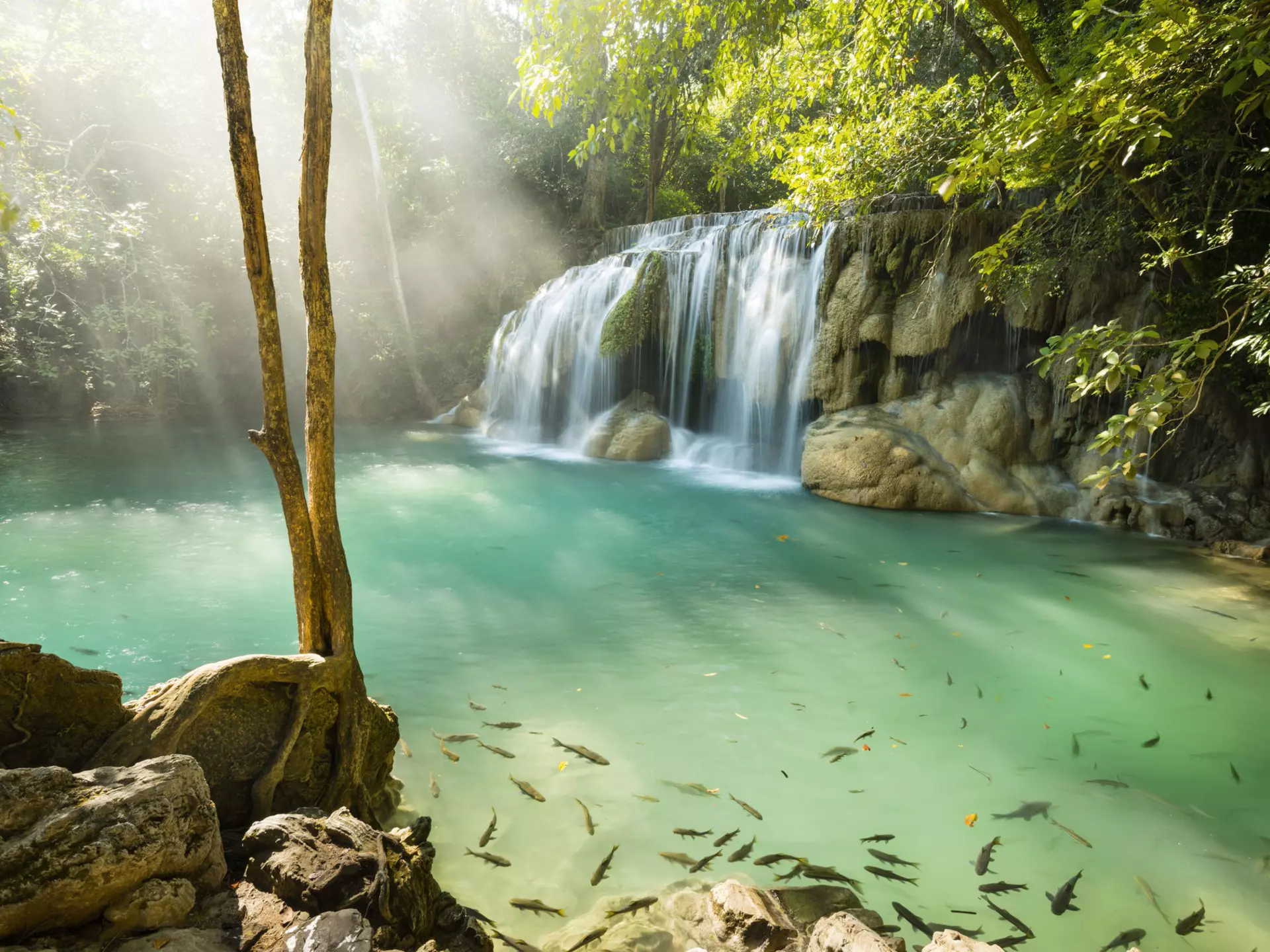 Lonely Planet Traveller Magazine, issue 112, April 2018, Central Thailand
Fish swim in the aqua pool of a waterfall in the Erawan National Park.