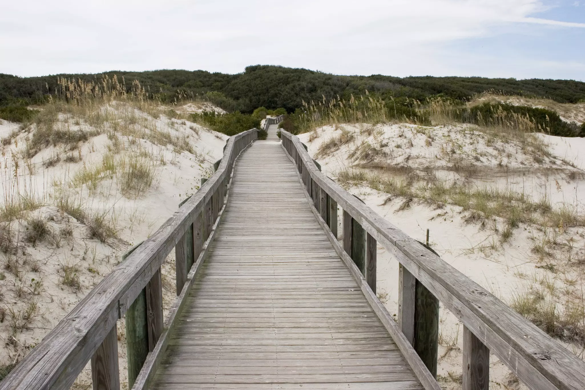 Cumberland Island Beach Walkway, Georgia