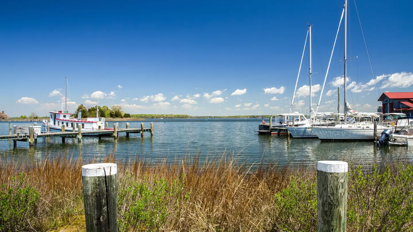 View across the harbor at St. Michael's Chesapeake Maritime Museum.
