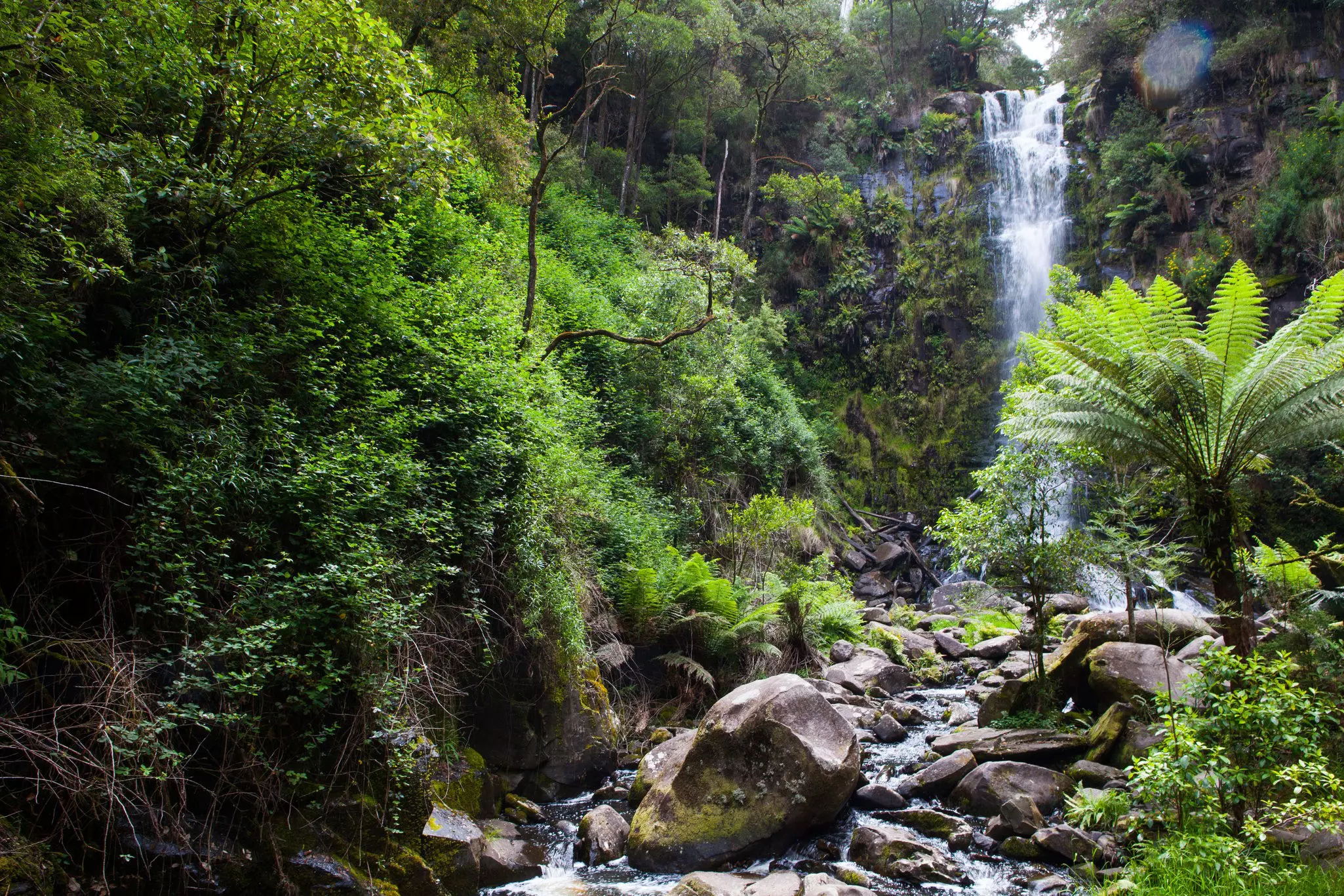 Erskine Falls near Lorne Australia