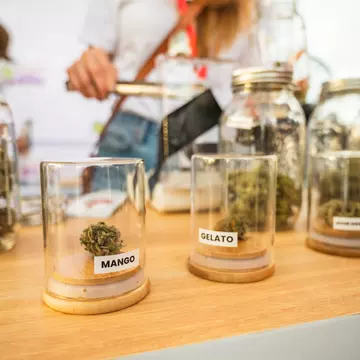 Different types of cannabis displayed at a dispensary in Nakhon Pathom