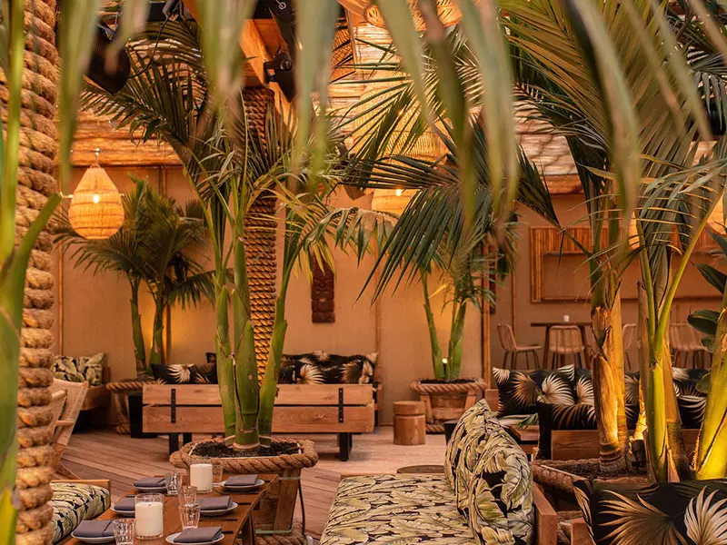 Seating at Belles Beach House surrounded by palms