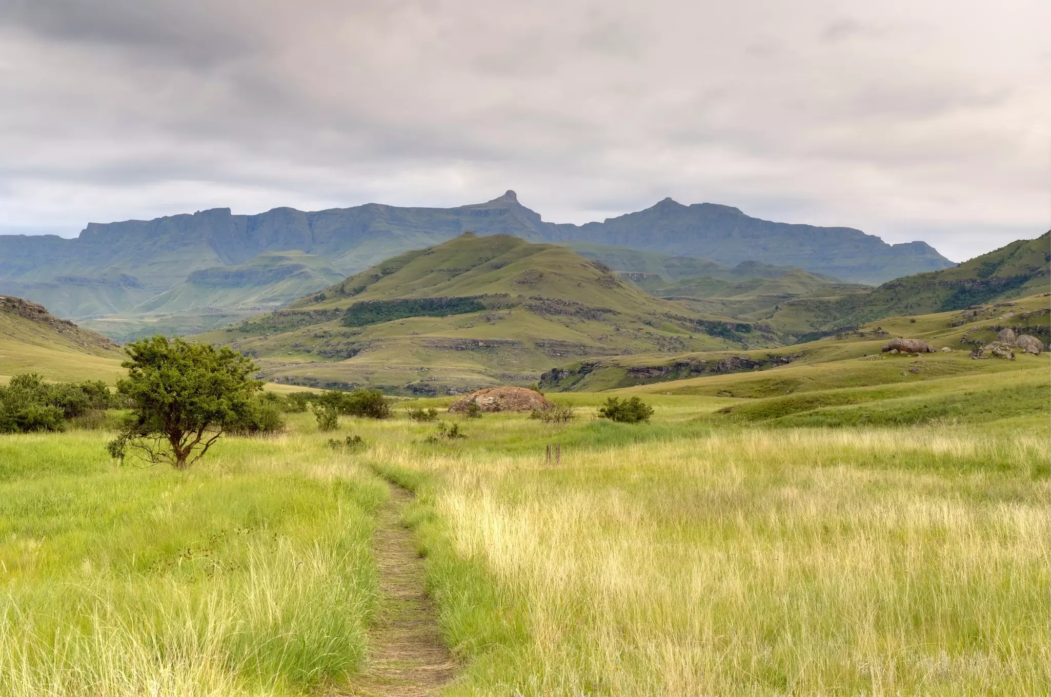 A dirt track leads through grassland towards hills covered in greenery.