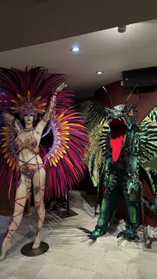 A sparkly costume with feathers and wings, and a dragon-like costume  
