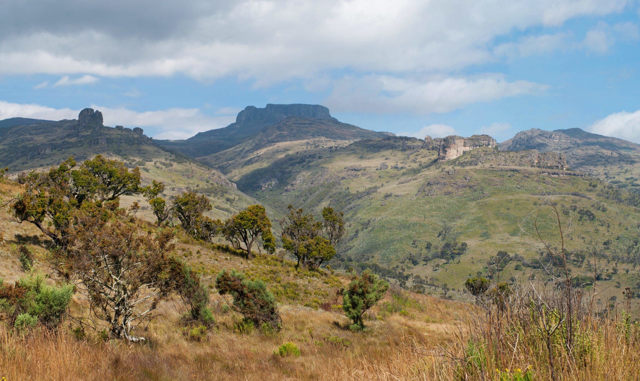 Landscape in Mount Elgon National Park, Kenya