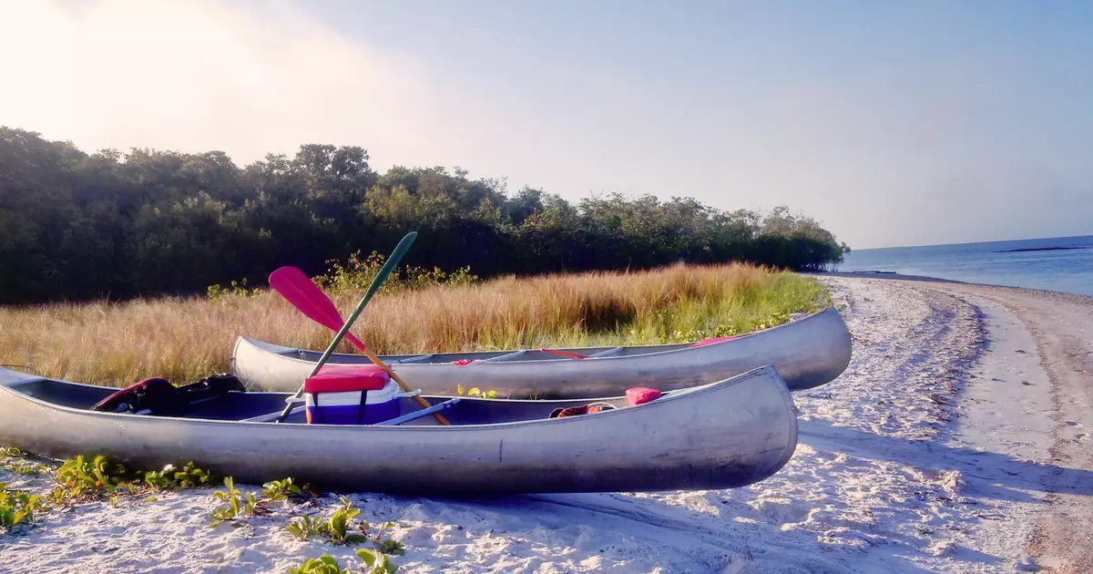 8 of the best things to do in Florida's iconic Everglades National Park