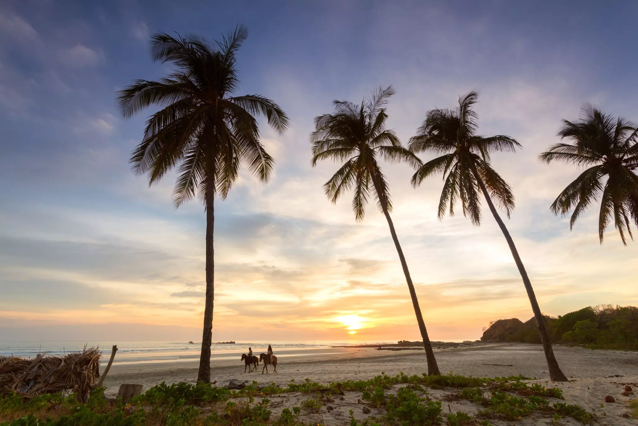 Tourists riding horses at the tropical Nosara Beach during sunset.