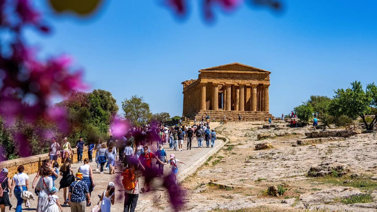 Crowds walk along a path toward an ancient Greek temple. Blurry blossoms frame the image.