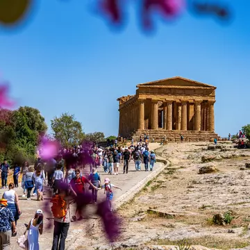 Crowds walk along a path toward an ancient Greek temple. Blurry blossoms frame the image.