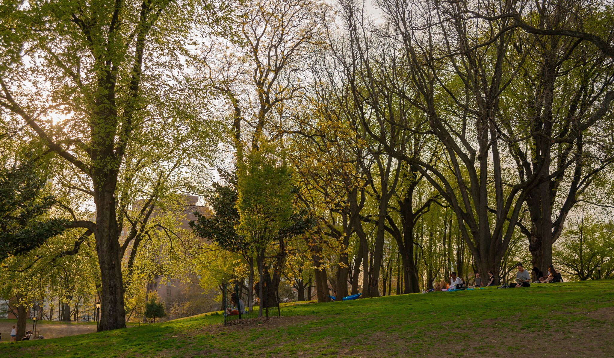 The people resting in the Fort Green Park, Brooklyn, New York at the warm spring day.