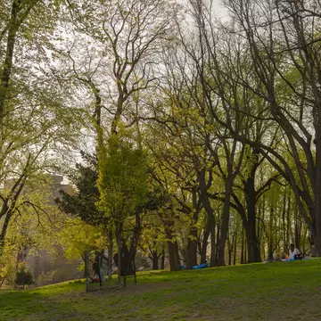 The people resting in the Fort Green Park, Brooklyn, New York at the warm spring day.