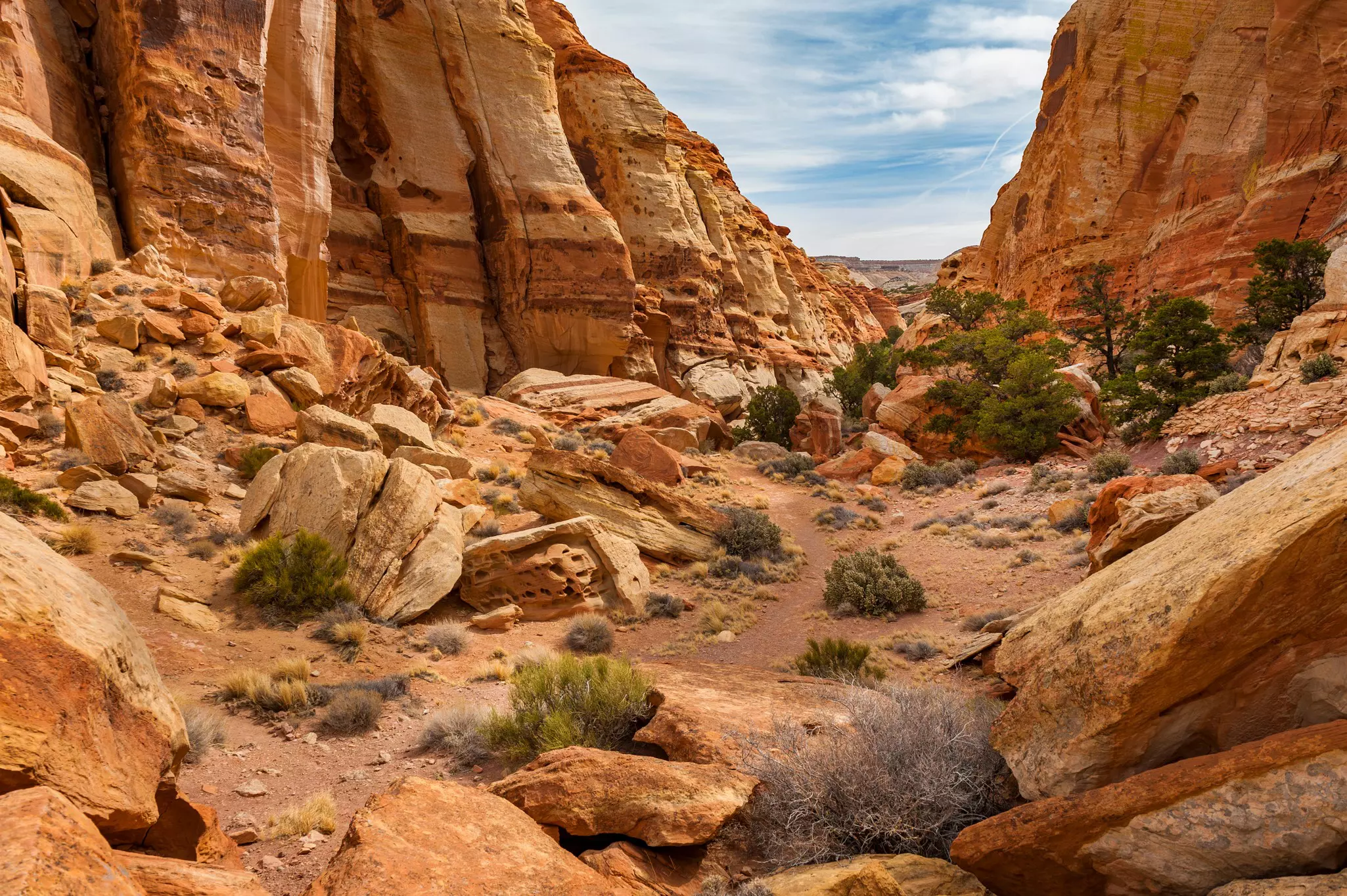 A hiking trail through a desert area with elabroate rock formations.